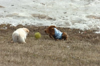 Mar15_07_583.JPG