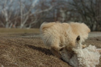 Mar15_07_627.JPG
