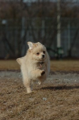 Mar15_07_672.JPG