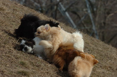 Mar15_07_696.JPG