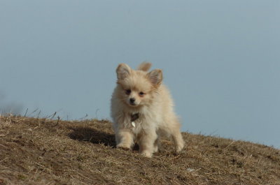 Mar15_07_698.JPG