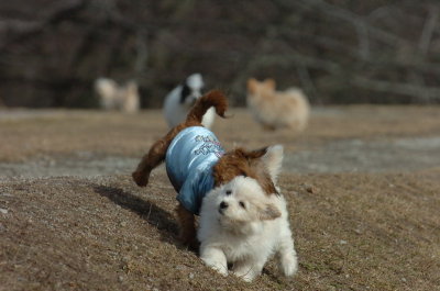 Mar15_07_710.JPG