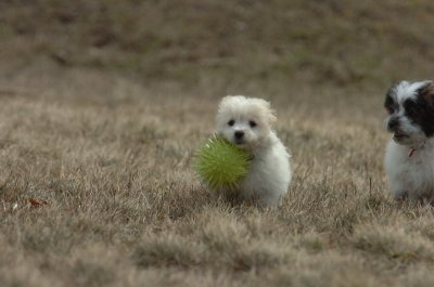 Mar15_07_333.JPG