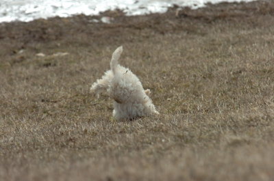 Mar15_07_354.JPG