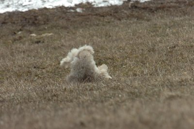 Mar15_07_355.JPG