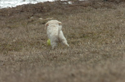 Mar15_07_356.JPG