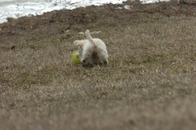 Mar15_07_357.JPG