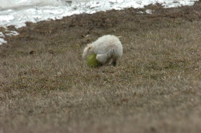 Mar15_07_358.JPG