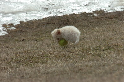 Mar15_07_359.JPG