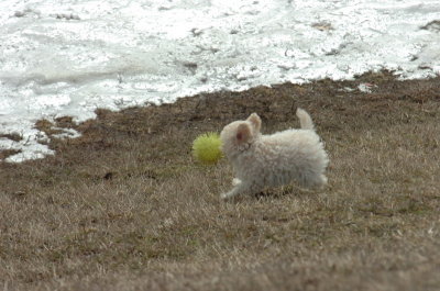 Mar15_07_360.JPG