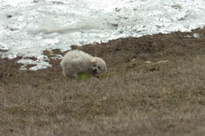 Mar15_07_361.JPG