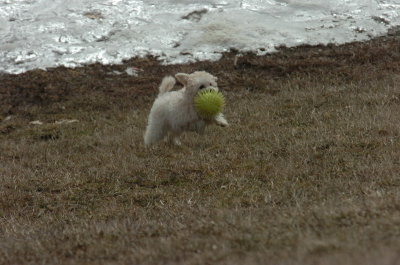 Mar15_07_362.JPG