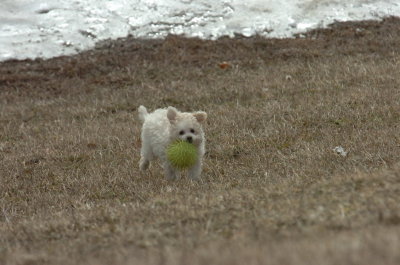 Mar15_07_363.JPG