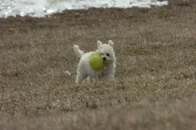 Mar15_07_364.JPG