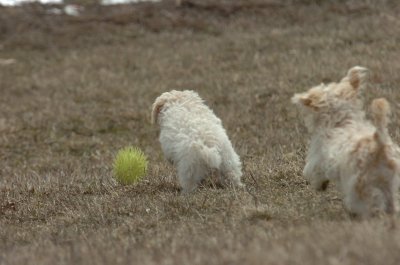 Mar15_07_368.JPG