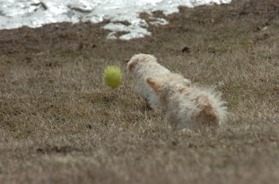 Mar15_07_369.JPG