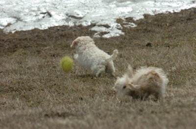 Mar15_07_370.JPG