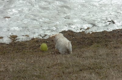 Mar15_07_371.JPG