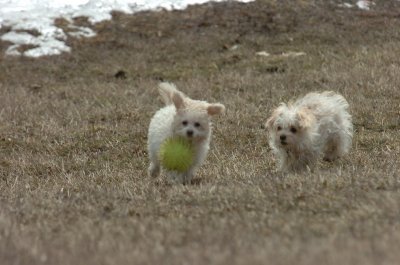 Mar15_07_373.JPG