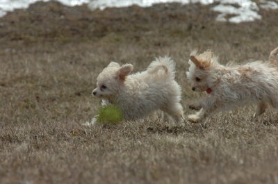 Mar15_07_376.JPG