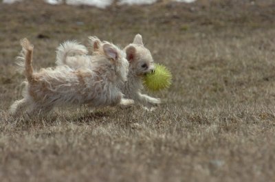 Mar15_07_378.JPG