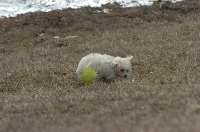 Mar15_07_384.JPG