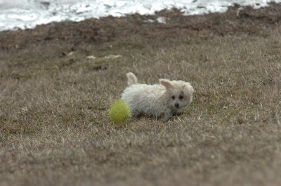 Mar15_07_385.JPG