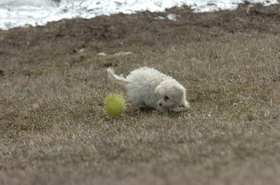 Mar15_07_386.JPG