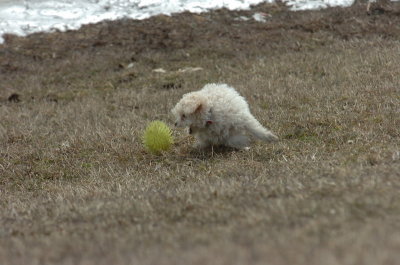 Mar15_07_387.JPG