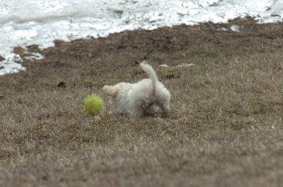 Mar15_07_388.JPG
