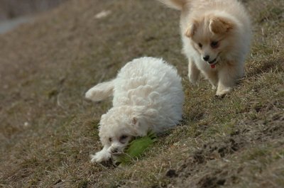 Mar15_07_410.JPG