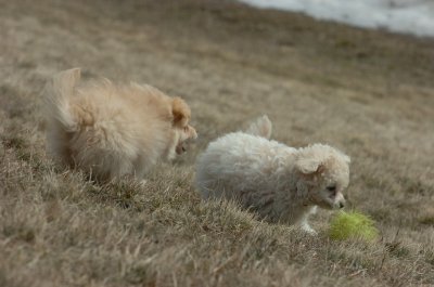Mar15_07_415.JPG