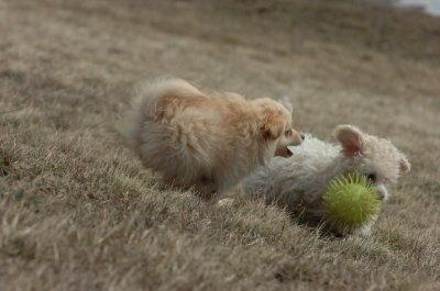 Mar15_07_416.JPG