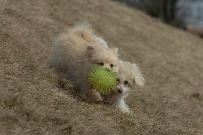 Mar15_07_425.JPG