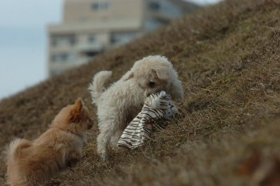 Mar15_07_169.JPG