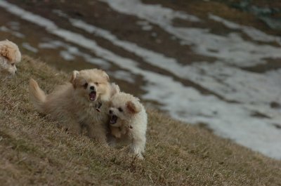 Mar15_07_212.JPG