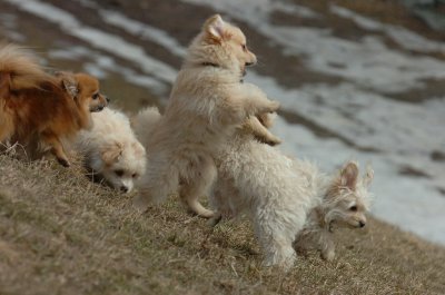 Mar15_07_218.JPG