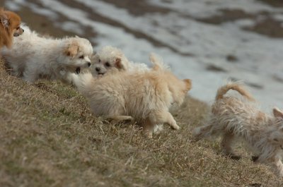 Mar15_07_220.JPG