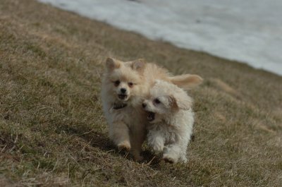Mar15_07_224.JPG