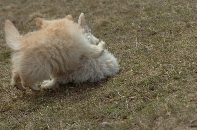 Mar15_07_227.JPG