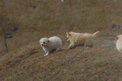 Mar15_07_233.JPG