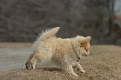 Mar15_07_250.JPG
