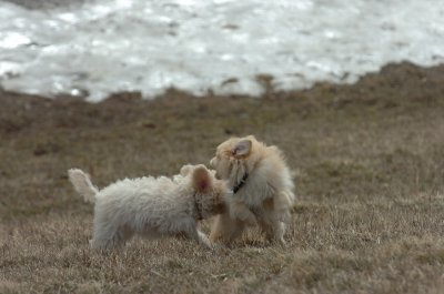 Mar15_07_262.JPG