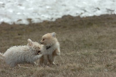 Mar15_07_263.JPG