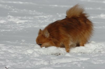 Mar17_07_1288.JPG