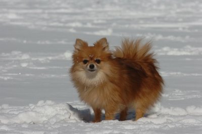 Mar17_07_1289.JPG