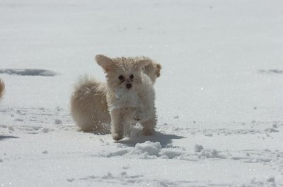 Mar17_07_1290.JPG