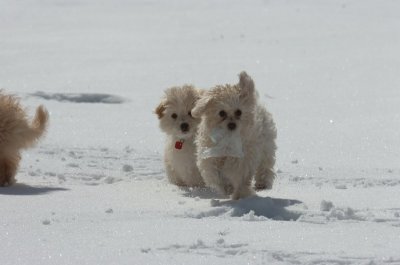 Mar17_07_1291.JPG