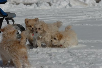 Mar17_07_1303.JPG