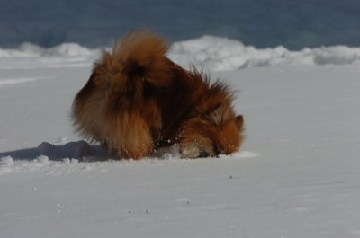 Mar17_07_1314.JPG